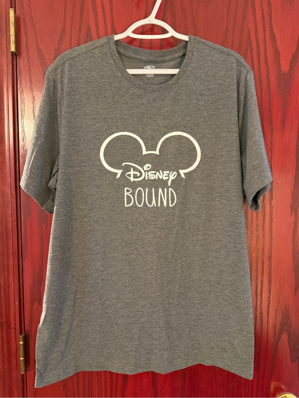 Disney Bound  Gray Graphic Tee Adult XL